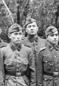 158181154c80faec583053281b213e12