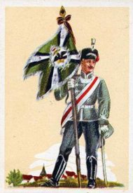 269-Standarte-HR-11