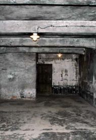 GasChamber05