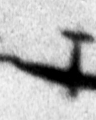 Spitfire_Tipping_V-1_Flying_Bomb
