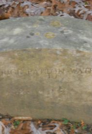 beatrix paTTON STONE