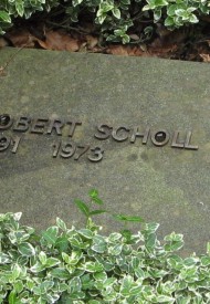 91553310_133913445523