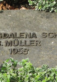 91553474_133914148394