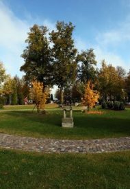 media.facebook.68d1ee45-ba49-48c6-9507-6ca614cdb93e.normalized