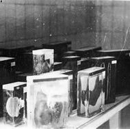 285px-Buchenwald-J-Rouard-24