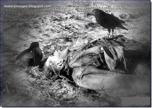 war-brutal-images-dead-german-soldier-crow