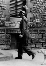 general_patton_dog_willie_2