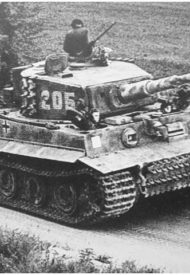 vil26