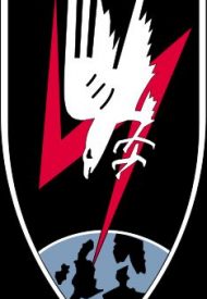 234px-Nachtjagd_badge.svg