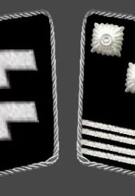 HH-SS-Hauptsturmfuhrer-Collar
