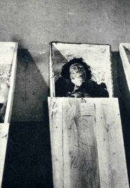 main-qimg-935328ae9f986237529a7ef926f9de8b-c