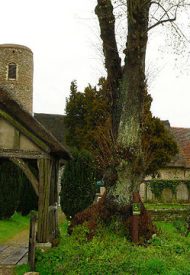 480px-Barsham-g3
