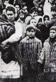 tumblr_inline_n673lix5fZ1qdcbec