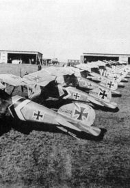 observation and fighter squadrons