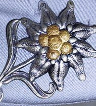 Mützenabzeichen_Gebirgsjäger_Bw