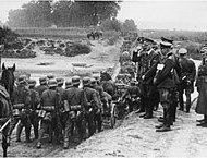 Polish campaign