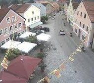 vogel