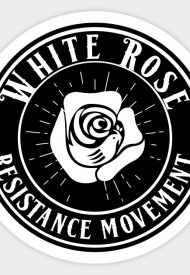 white rose