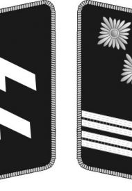 521px-SS-Hauptsturmführer_collar.svg