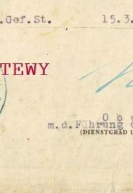 nedwig signature