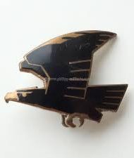 Die Adler und Falken, Deutsche Jugendwanderer