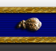Distinguished Unit Emblem with Oak Leaf Cluster