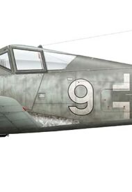 Fw 190 A Weissenberger