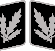 SS-Brigadeführer_Collar_Rank.svg (1)