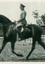 182-Heinz-Pollay-on-Kronos-Germany-Equestrian-Dressage