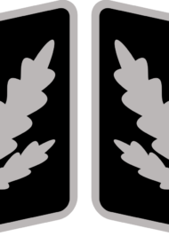 SS-Brigadeführer_Collar_Rank.svg
