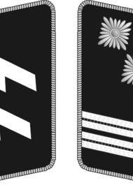 SS-Hauptsturmführer_collar.svg