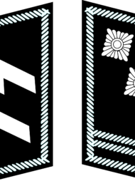 SS-Obersturmfuehrer_collar.svg