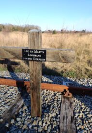 thumbnail_IMG_20230301_161449