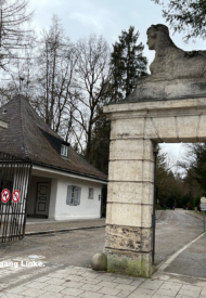 schobert3